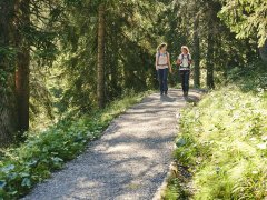Wandern im Bregenzerwald